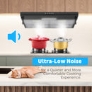 Advwin 60cm Range Hood Black