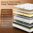 Advwin 25CM Mattress with Individual Pocket Springs