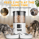 Advwin 4L Automatic Cat Feeder with HD Camera