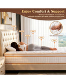 Advwin 30CM Mattress with Individual Pocket Springs White & Gold