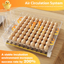Advwin Egg Incubator with Automatic Egg Turning (288 Eggs)