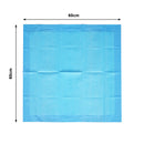 Advwin 100pcs Puppy Training Pads Pet Dog Cat Toilet