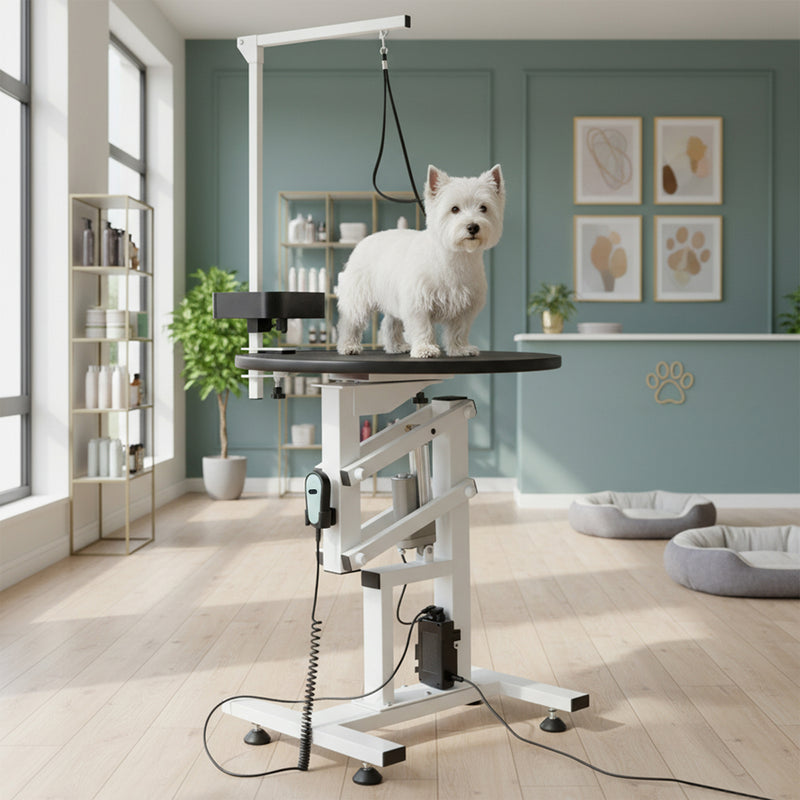 Advwin Electric Lifting Pet Grooming Table 24Inch 360°