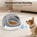 Advwin RFID Automatic Cat Feeder