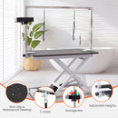 Advwin Electric Lift Pet Dog Grooming Table (Pre-Order)