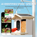 Advwin Smart Bird Feeder Solar Powered with AI Camera