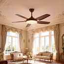 Advwin 52'' Ceiling Fan with RGB Light