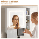 Advwin LED Bathroom Mirror Cabinet (Pre-Order)