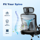 Advwin Adjustable Ergonomic Office Chair Black