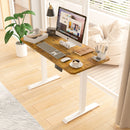 Advwin Electric Standing Desk  Adjustable Height 120cm