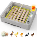 Advwin 36 Eggs Incubator with Automatic Turner (Pre-Order)