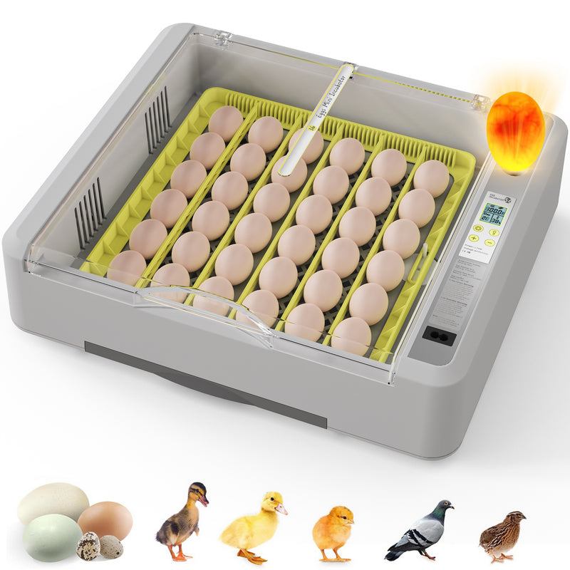 Advwin 36 Eggs Incubator with Automatic Turner