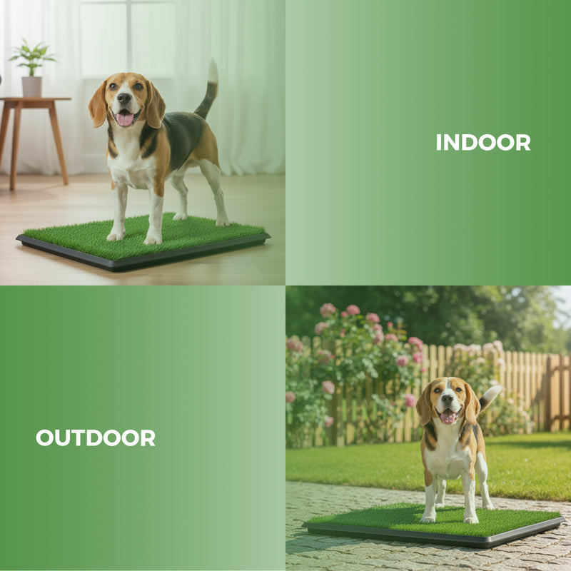 Advwin Dog Grass Pad with Tray