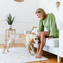 Advwin Disposable Dog Diapers for Female Dogs 50 Count