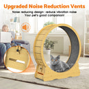 Advwin Cat Exercise Wheel  Running Wheel