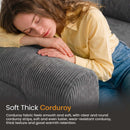 Advwin 5-in-1 Convertible Folding Loveseat Sofa Bed