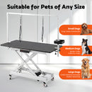 Advwin Electric Lift Dog Grooming Table w/ Charging Station