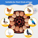 Advwin 12 Eggs Automatic Incubator for Hatching