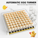 Advwin Egg Incubator with Automatic Egg Turning (288 Eggs)