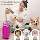 Advwin 9-in-1 Pet Grooming Vacuum Kit & Hair Dryer