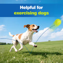 Advwin 12 Pack Exercise Playing Balls for Pet Dog