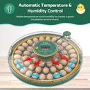 Advwin 52 Eggs Incubator with Temperature Control