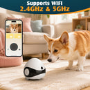 Advwin Moving Pet Camera Robot with Cat Teaser
