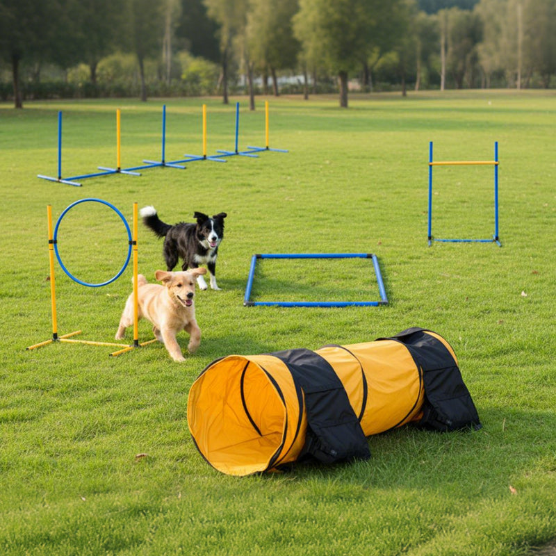 Advwin Dog Agility Equipment Obstacle Course Backyard Set