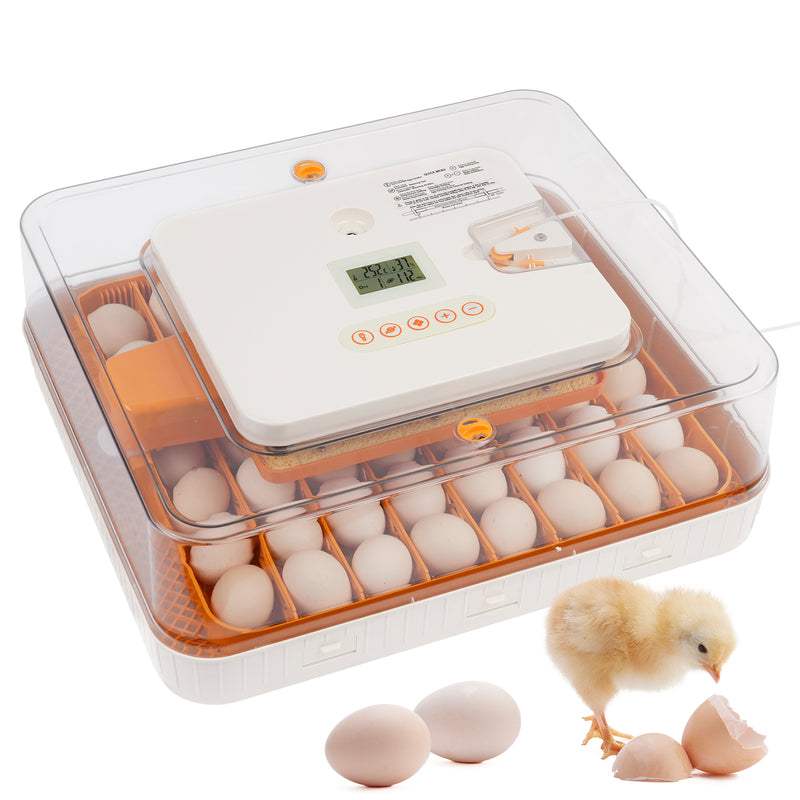 Advwin 56 Eggs Incubator with Temperature Control