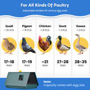 Advwin Incubators for Hatching Eggs