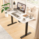 Advwin Electric Standing Desk  Adjustable Height 120cm