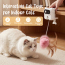 Advwin Interactive Cat Toy Automatic Feather Teaser