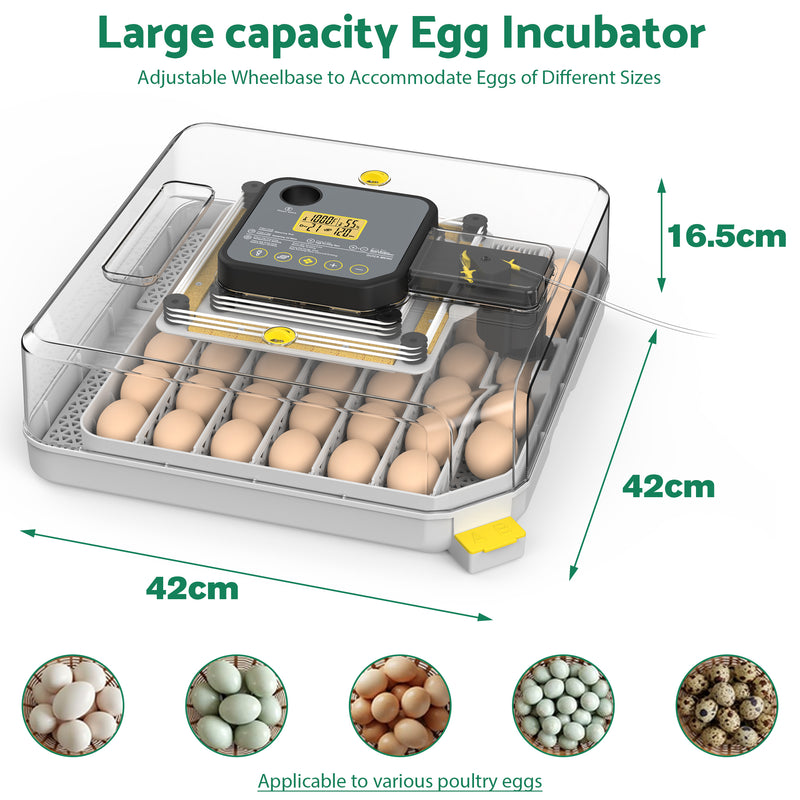 Advwin 48 Egg Incubator for Hatching Eggs