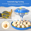 Advwin Incubators for Hatching Eggs 18 Eggs Incubator