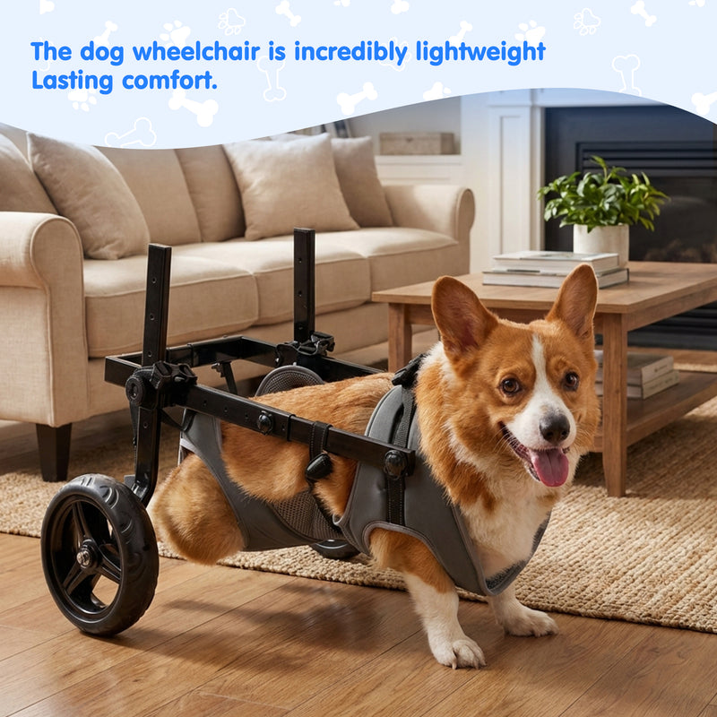 Advwin Dog Wheelchair for Hind Legs 12.5–20kg Pets