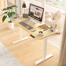 Advwin Adjustable Height Electric Standing Desk 120cm