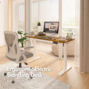 Advwin Electric Standing Desk  Adjustable Height 120cm