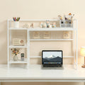 Advwin 3-Tier Desktop Organizer Shelf with 5 Hooks