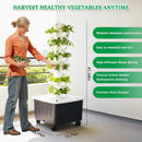 Advwin Plant Hydroponic System 6-Tier