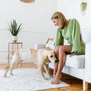 Advwin Disposable Male Dog Wraps Size Medium 10 Count