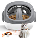 Advwin RFID Automatic Cat Feeder