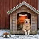 Advwin Thermostatic Dog House Heater Wall-Mounted/Desktop