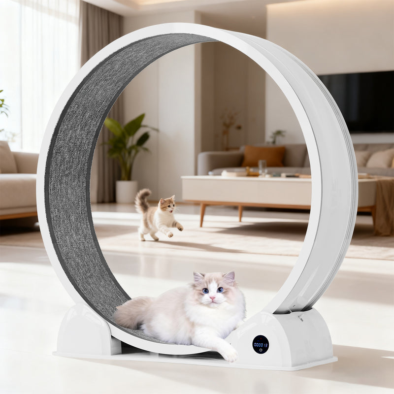 Advwin Cat Exercise Wheel with Digital Counter Display