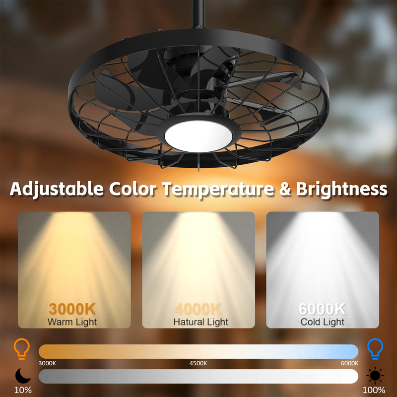 Advwin 20" Outdoor Waterproof Ceiling Fan with Light