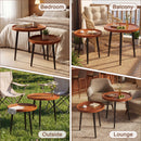 Advwin Walnut Nesting Coffee Tables Set of 2