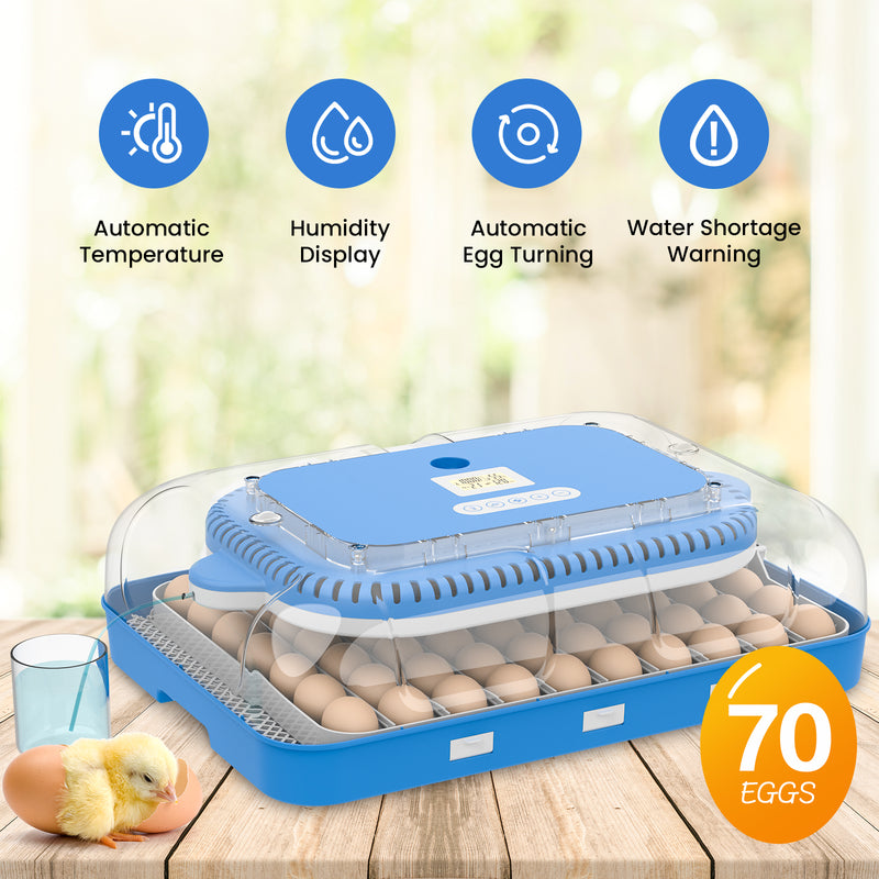 Advwin 70 Eggs Incubator Automatic Egg Turning(Pre-order)
