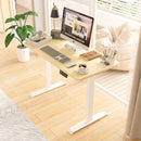 Advwin Electric Standing Desk  Adjustable Height 120cm