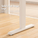 Advwin Electric Standing Desk with Monitor Stand  White