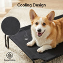 Advwin Elevated Dog Bed for Large Dogs