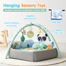 Advwin Baby Play Gym Mat 8-in-1 Tummy Time Mat & Ball Pit